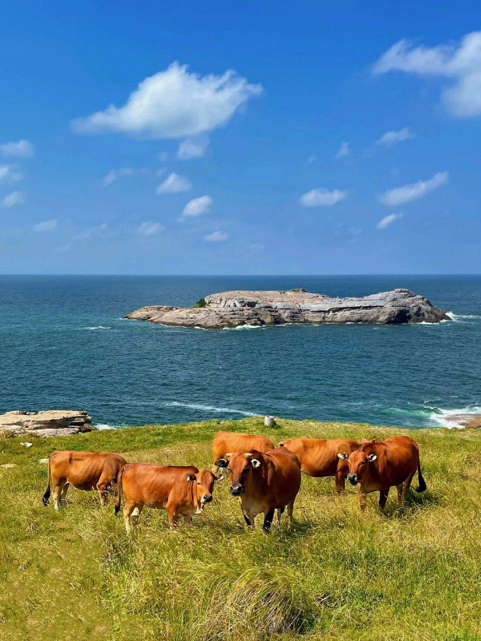 美丽的高山风景区